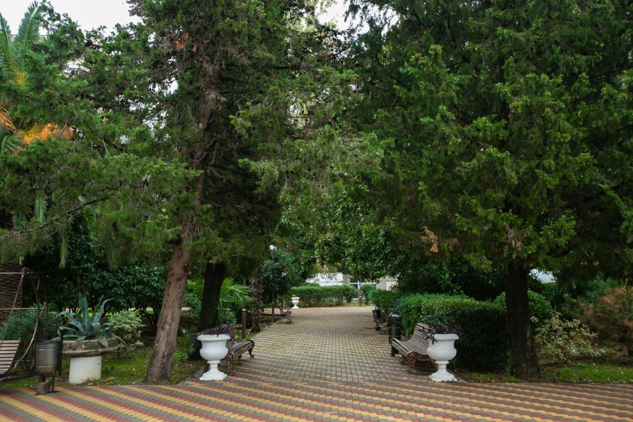 Amza Park Hotel ガグラ エクステリア 写真